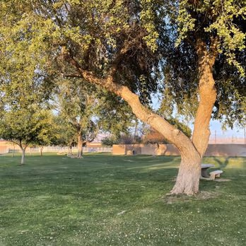 Mulligan Dog Park photo 1